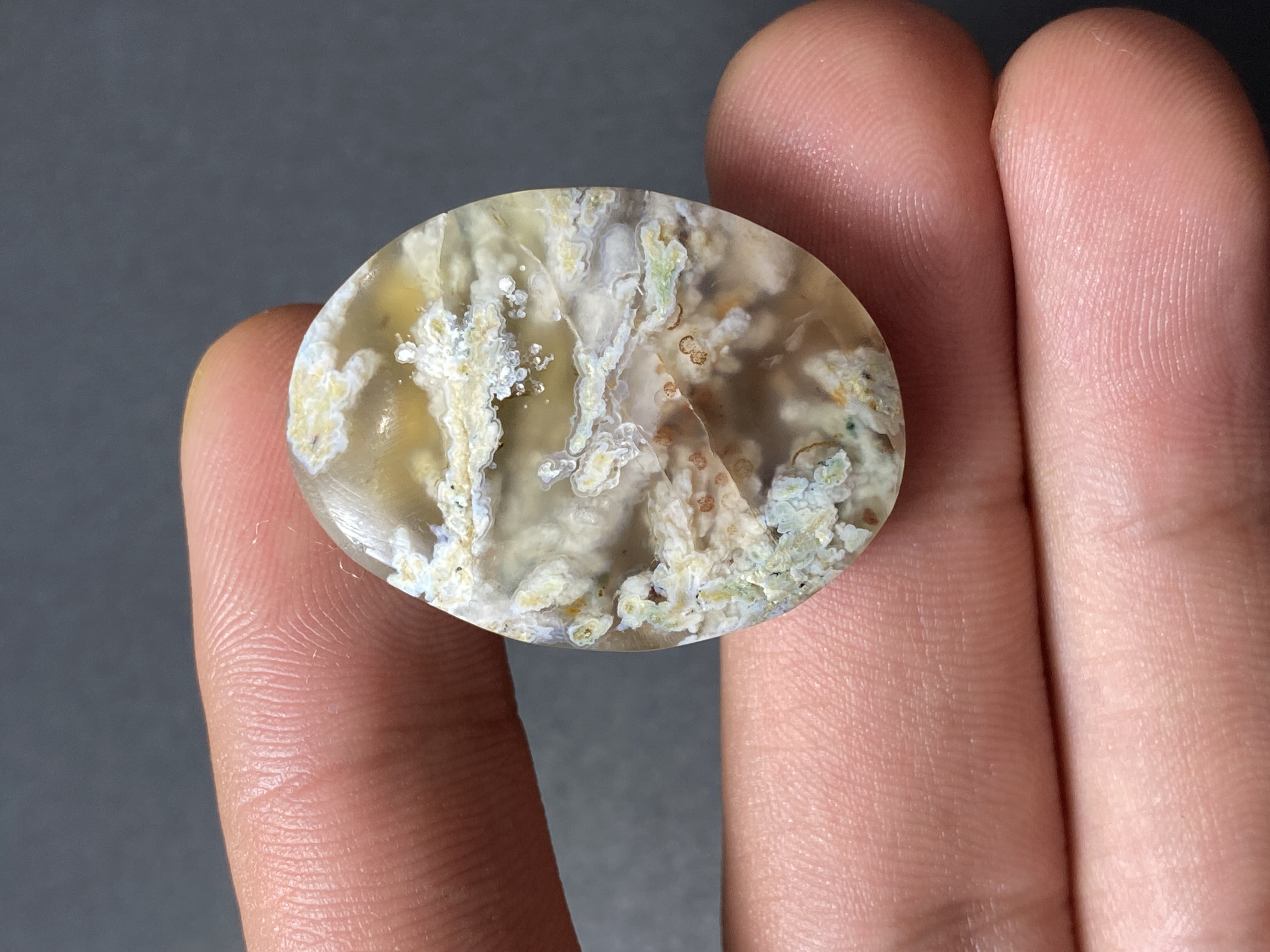 پیشنهاد ویژه